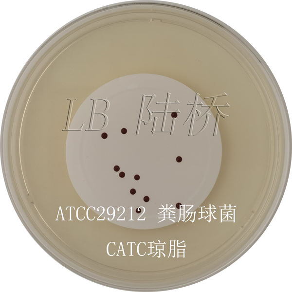 CATC瓊脂-糞腸球菌