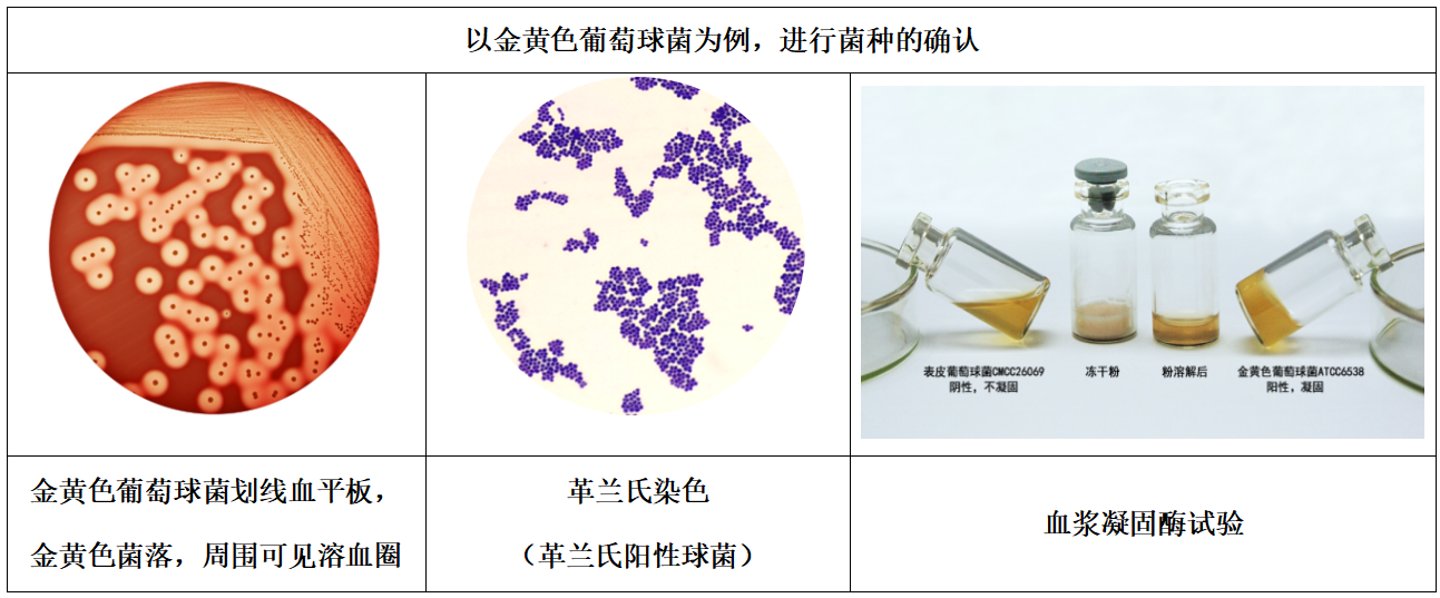 1101無菌檢查法——培養(yǎng)基適用性檢查操作要點(diǎn)（中國藥典2020年版四部）