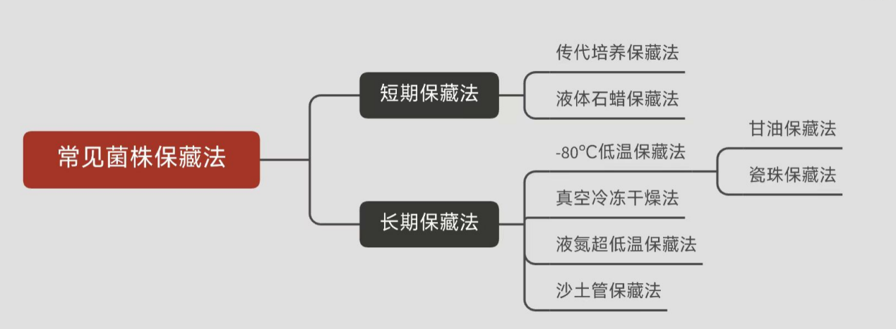 常見菌株保藏法的優(yōu)缺點(diǎn)對比