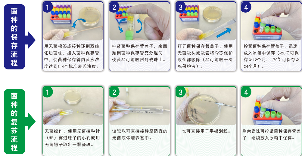 常見菌株保藏法的優(yōu)缺點對比