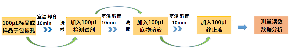 牛奶酪蛋白的檢測(cè)