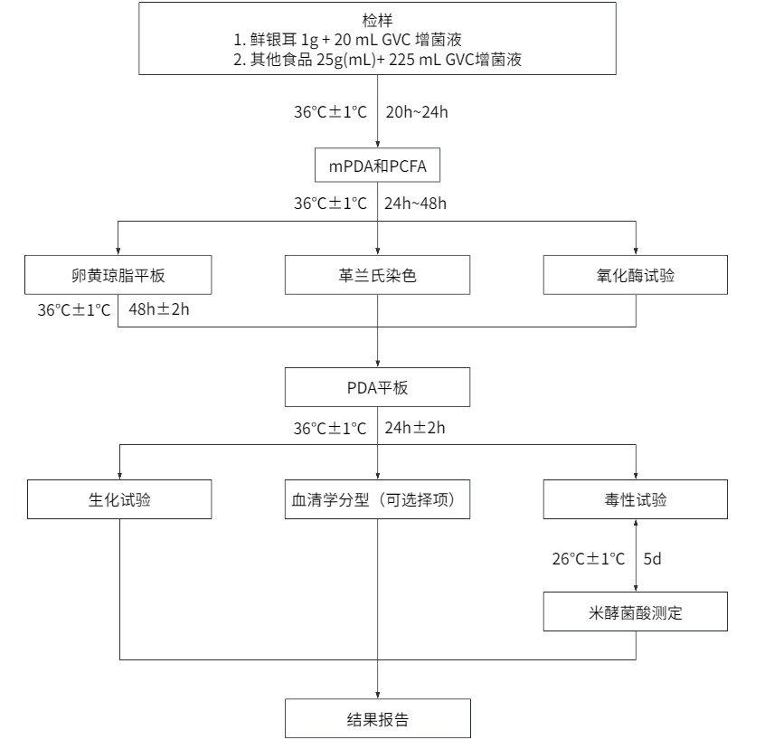 自帶“光環(huán)”的菌——唐菖蒲伯克霍爾德氏菌（下）